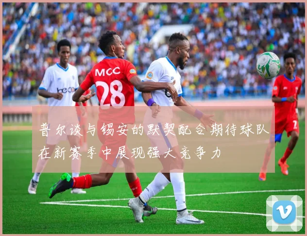 普尔谈与锡安的默契配合期待球队在新赛季中展现强大竞争力
