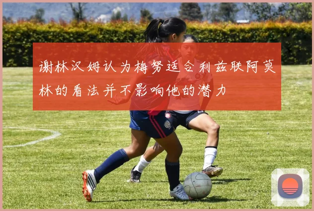 谢林汉姆认为梅努适合利兹联阿莫林的看法并不影响他的潜力