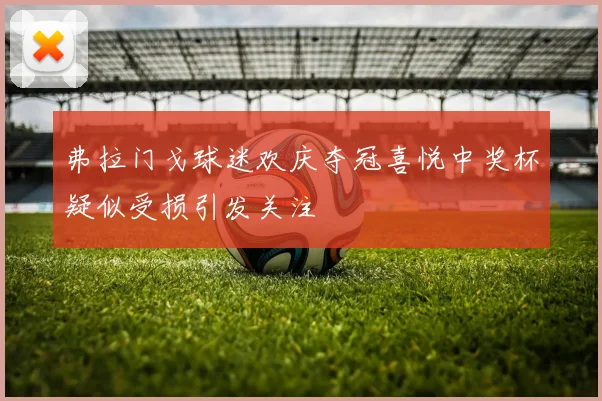 弗拉门戈球迷欢庆夺冠喜悦中奖杯疑似受损引发关注