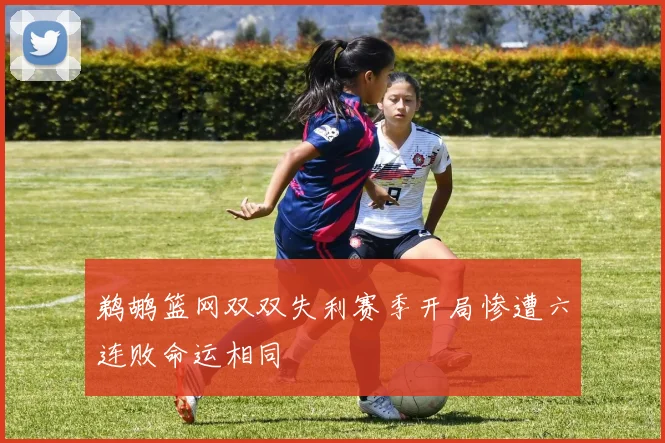 鹈鹕篮网双双失利赛季开局惨遭六连败命运相同