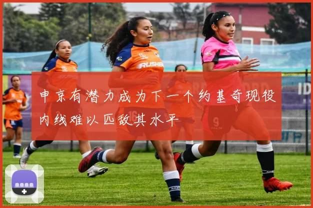 申京有潜力成为下一个约基奇现役内线难以匹敌其水平