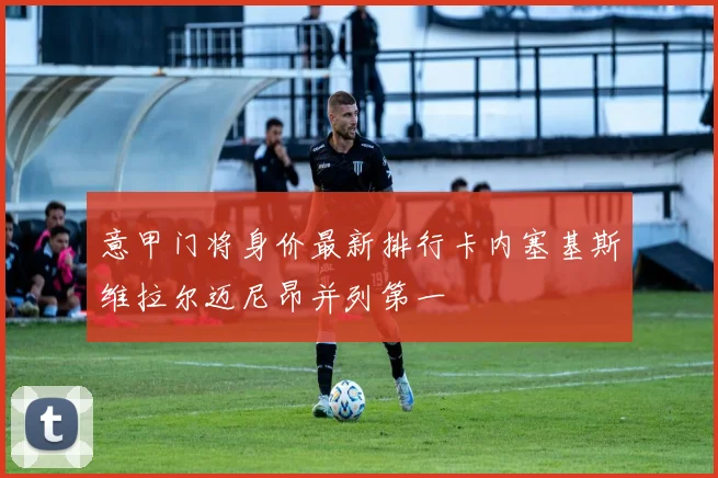 意甲门将身价最新排行卡内塞基斯维拉尔迈尼昂并列第一